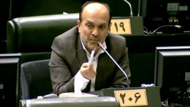 علیپور: تعامل مجلس و دولت میتواند مشکلات را برطرف کند