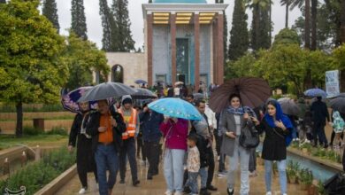 فارس به استقبال یادروز سعدی شیرینسخن میرود