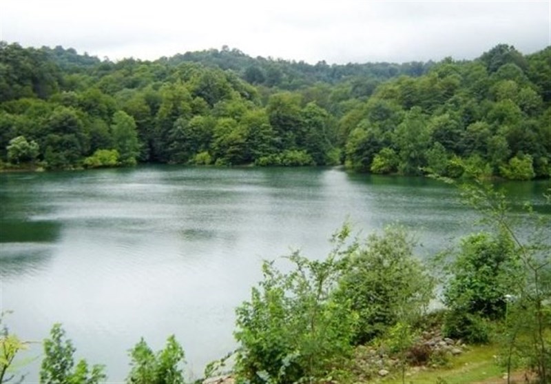 قطع درختان الیمالات با مجوز سازمان آب