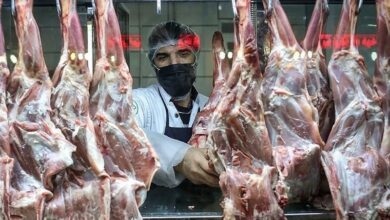 قیمت گوشت گران نمیشود