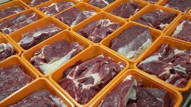 ماجرای نارضایتی قصابان کردستان از توزیع گوشت وارداتی چیست؟