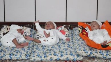 مادر 30 ساله سنندجی در سومین بارداری 3 قلو به دنیا آورد