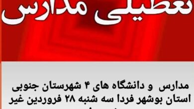 مدارس و دانشگاههای مناطق جنوبی بوشهر غیرحضوری شد