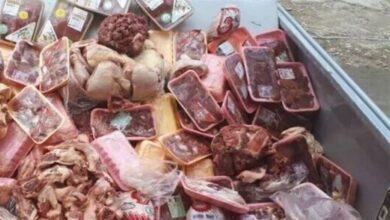 _معدوم_ _کردن_ _2_._2_ _تن_ _مواد_ _غذایی_ _غیرقابل_ _مصرف_ _در_ _بوشهر_