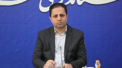 معرفی ظرفیتهای صادراتی همدان برای افزایش تعاملات تجاری غرب