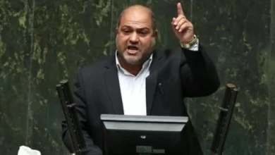 مناطق آزاد به عنوان مدینه فاضله سرمایهگذاری با آمار واهی روبروست