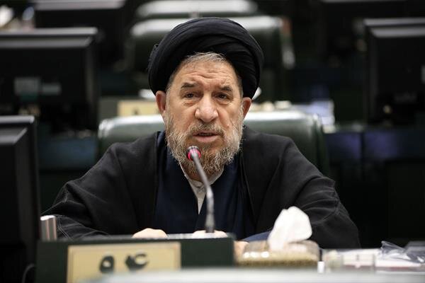 میرتاجالدینی: دولت به پیشنهادات مجلس درباره اجرای طرح کالابرگ الکترونیکی توجه کند