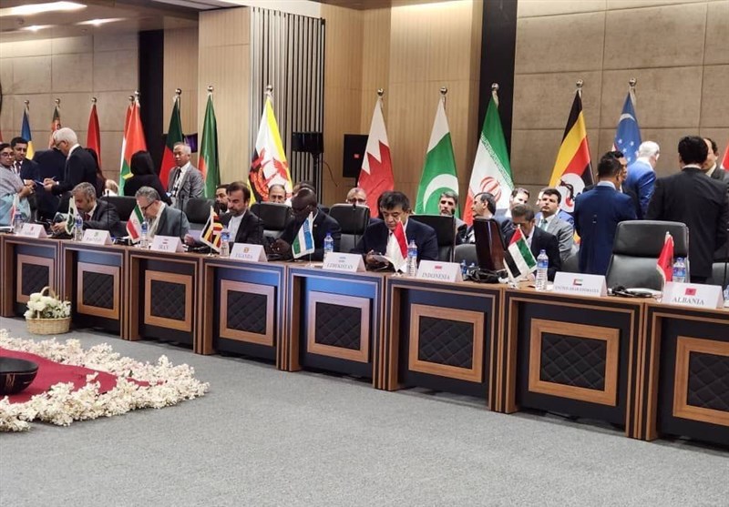 نشست مقدماتی اجلاس سران سازمان همکاری اسلامی در گامبیا