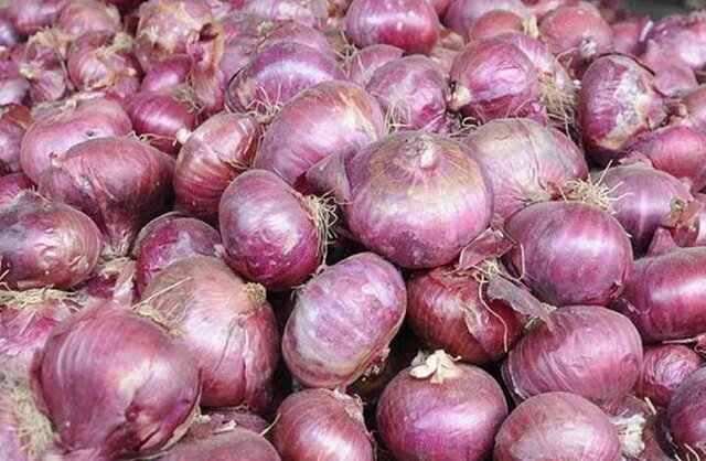 نوسان قیمت پیاز / گرم شدن هوا و مدیریت صادرات قیمت را متعادل میکند