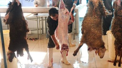 کشتار غیرمجاز دام در کرمانشاه با غفلت شهرداری