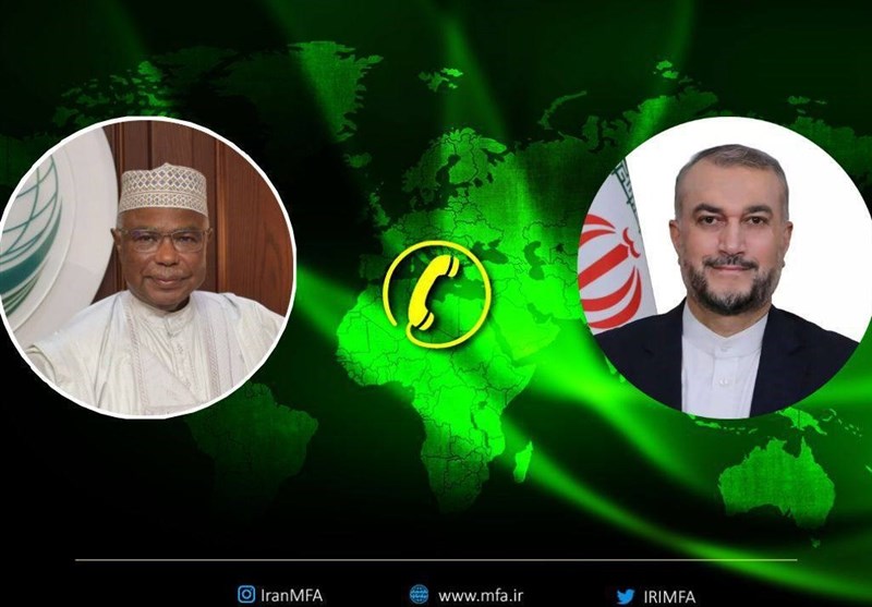 گفتگوی تلفنی امیرعبداللهیان و دبیرکل سازمان همکاری اسلامی