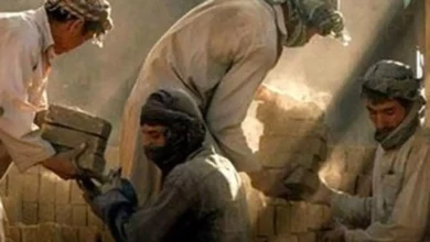 ۹۱ تا ۱۸۰ روز حبس در انتظار کارفرمایانی که اتباع غیرقانونی را به کار بگیرند