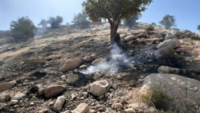 30 هکتار از مراتع و جنگلهای بهمئی در آتش سوخت