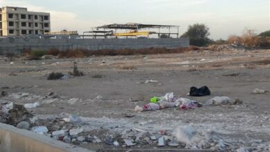 _5_ _هزار_ _هکتار_ _زمین_ _خالی_ _مشهد_ _در_ _تملک_ _بزرگ__مالکان_ _قرار_ _دارد_