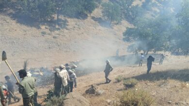 63کانون مستعد آتشسوزی در کهگیلویه و بویراحمد شناسایی شد