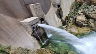 آبیاری نخلستانهای دشتستان با آب ذخیرهشده سد رئیسعلی دلواری