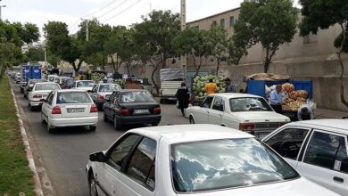 آغاز ساماندهی وانتهای میوهفروش در سنندج