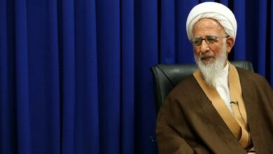 آیتالله جوادی: تولید و اشتغال با تنگنظری به جایی نمیرسد