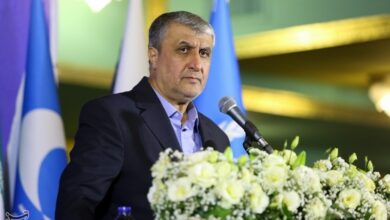 اسلامی: تنها دو مسئله بین ایران و آژانس باقیمانده است