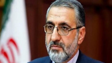 اسماعیلی: ما از شهید آیتالله رئیسی آموختیم که خسته نشویم