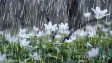 افزایش 31 درصدی بارشهای بهاری و جبران خشکسالی اردبیل