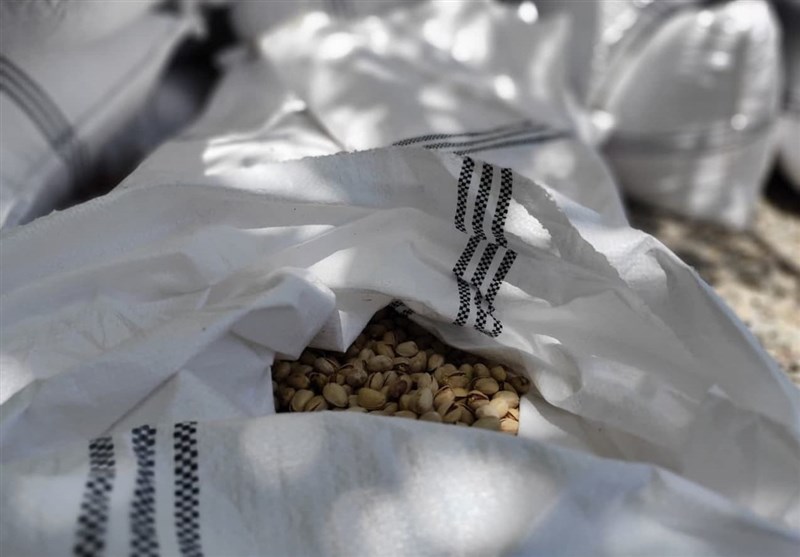 استان کرمان , سرقت ,