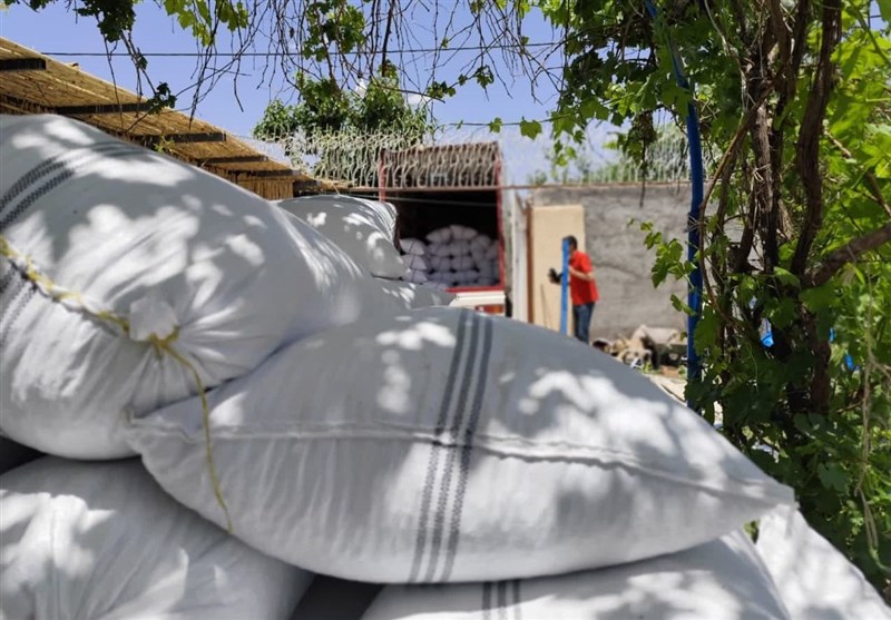 استان کرمان , سرقت ,