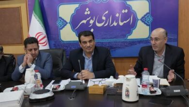 بوشهر از استانهای پیشرو در تسهیل و رفع موانع تولید است