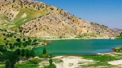 بیتوجهی استانداری کهگیلویه و بویراحمد به تالابها