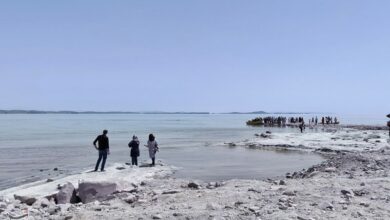 تایید تفحص از ستاد احیای دریاچه ارومیه در کمیسیون کشاورزی