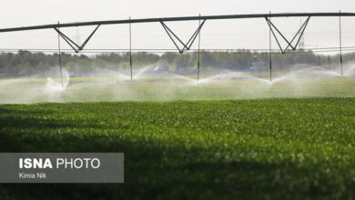 تحول بودجهای در بخش کشاورزی؛ از طرحهای آبرسانی تا آبخیزداری