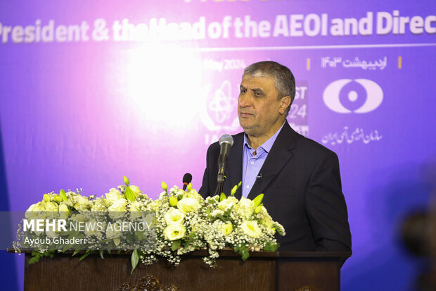 تعاملهای با آژانس نباید متاثر از تهمتها و پرونده سازی ها باشد