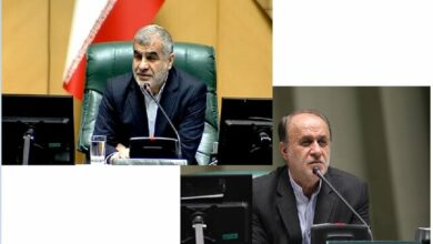 حاجیبابایی و نیکزاد نواب رئیس مجلس شدند