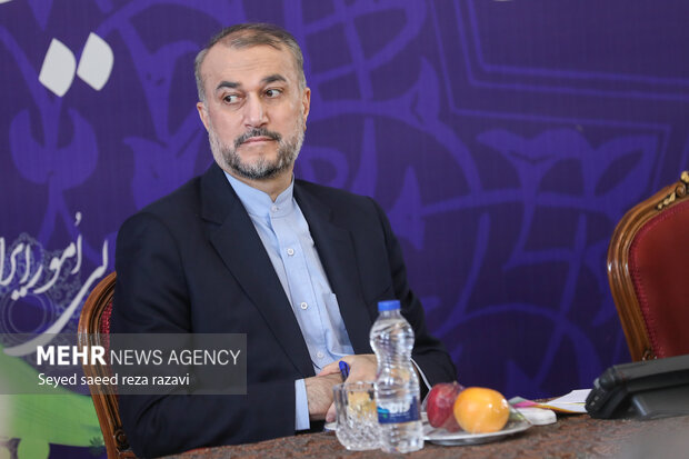 حمایت از ایرانیان خارج از کشور از دغدغههای مهم دولت است