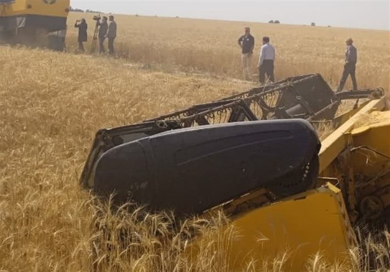 خرید 28 هزار تن گندم از کشاورزان استان بوشهر