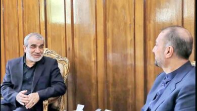 دلنوشته عضو شورای نگهبان برای وزیر شهید