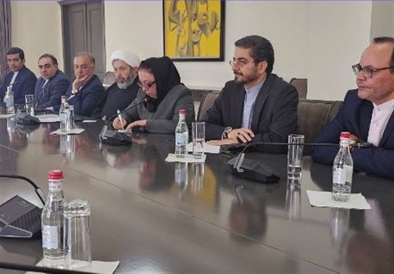 دیدار رئیس سازمان فرهنگ با معاون وزیر خارجه ارمنستان