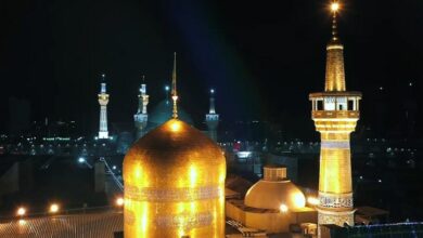 رزمندگان لشکر 14 اصفهان خادم امام رضا(ع) شدند + فیلم