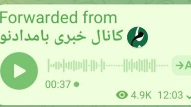 رسوایی بزرگ برای شبهرسانههای زرد/وقتی منافع جناحی بر منافع ملی غلبه میکند