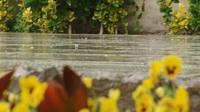 رشد 12درصدی بارش در لرستان/ 746میلیمتر در «شولآباد» ثبت شد