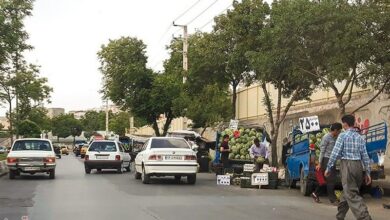 رصد وانتبارهای میوهفروش در سنندج