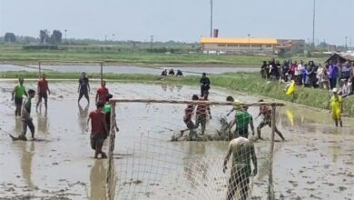 رقص توپ در شالیزار/ گزارش خبرنگار تسنیم را ببینید + فیلم