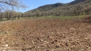 زمینخواری گسترده در چالیمار متوقف شد