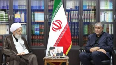 سایتهای پرتودهی در کشور راهاندازی میشود