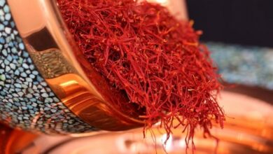 صادرات 210 میلیون دلار زعفران به 55 کشور در سال 1402