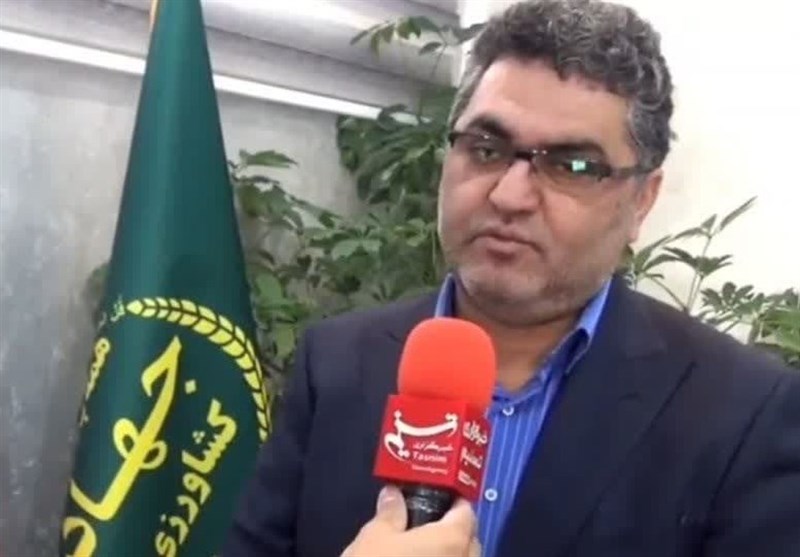 صادرات 498 تن محصولات کشاورزی از کردستان