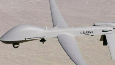 لحظه شکار پرنده گرانقیمت آمریکایی در یمن