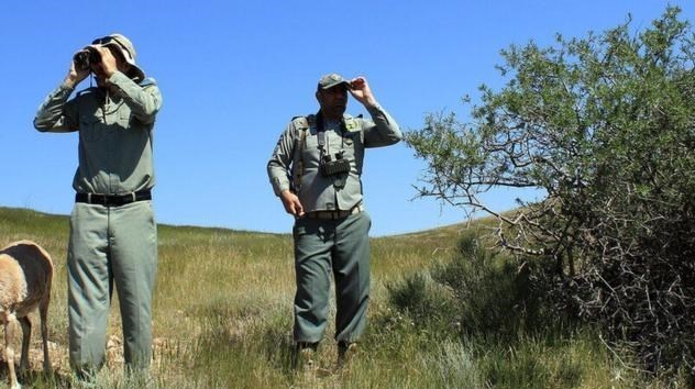 متخلفان محیطزیست محیطبان لرستانی را مجروح کردند