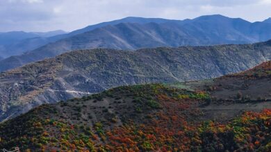 محل دقیق سانحه بالگرد حامل رئیسجمهور مشخص شد
