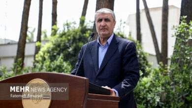 مذاکرات من و گروسی ارتباطی به رفع تحریمها نداشت